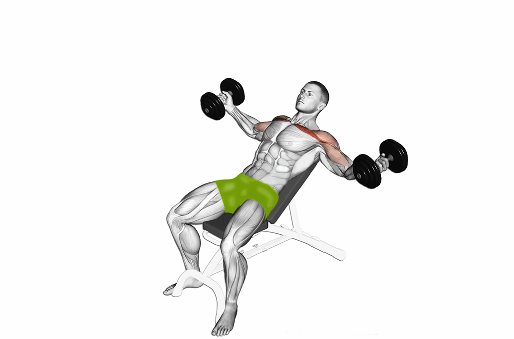 GymlyBook bench press exercise demo