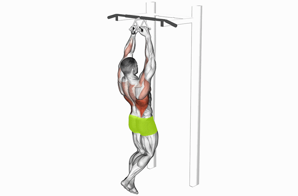 GymlyBook pull-up exercise demo