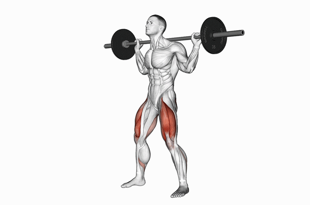 GymlyBook squat exercise demo